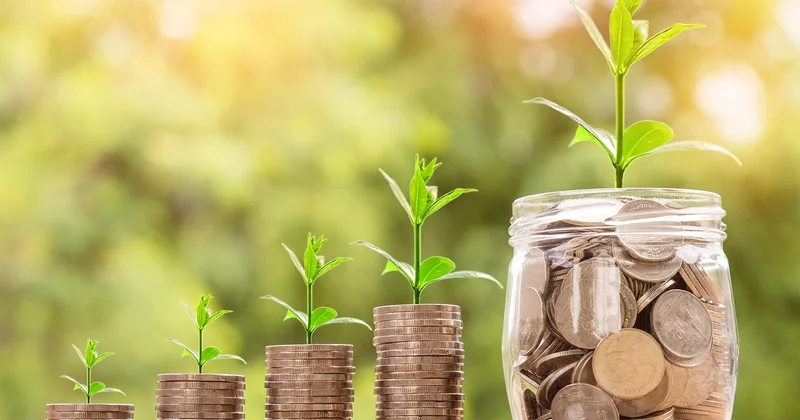 SEA, SEO et plateformes : où investir ?